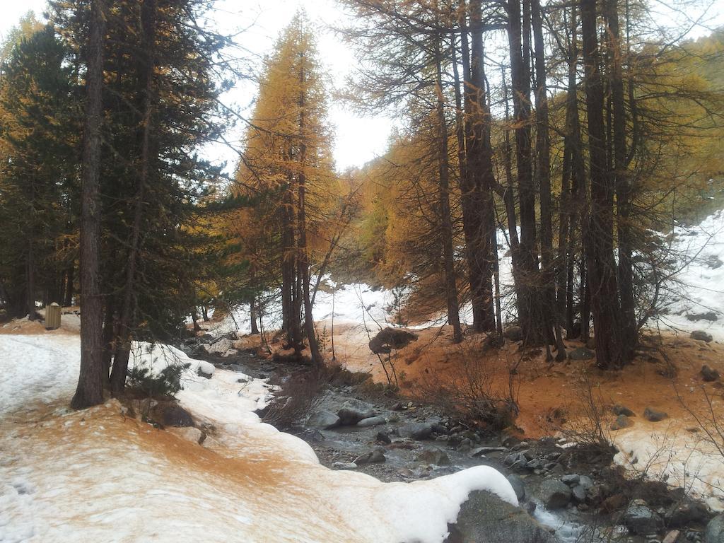 Chalet Rin Da Pemont ليفينو المظهر الخارجي الصورة
